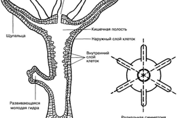 Кракен маркет тор